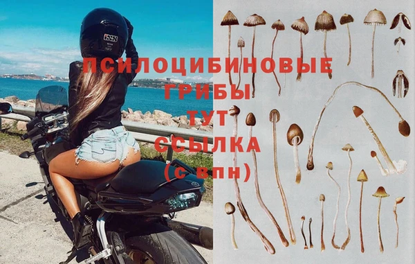 PSILOCYBIN Алексин