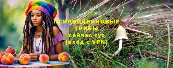 PSILOCYBIN Алексин