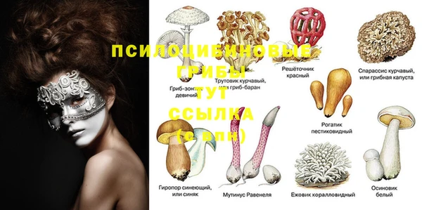 PSILOCYBIN Алексин