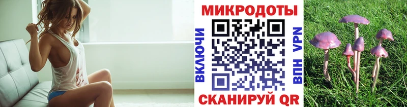 Псилоцибиновые грибы прущие грибы  Клин 