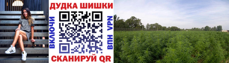 Канабис конопля где продают Клин
